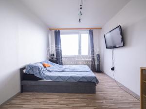 Prodej bytu 6+kk a větší, Praha, Dunická, 376 m2