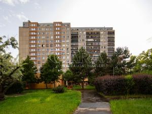 Prodej bytu 6+kk a větší, Praha, Dunická, 376 m2