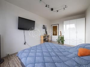 Prodej bytu 6+kk a větší, Praha - Záběhlice, Dunická, 376 m2