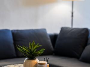 Prodej rodinného domu, Litíč - Nouzov, 400 m2