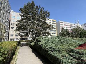 Prodej bytu 3+1, Praha - Stodůlky, Borovanského, 71 m2