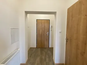 Pronájem bytu 1+kk, Čistá, 38 m2