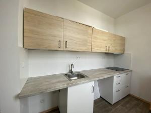 Pronájem bytu 1+kk, Čistá, 38 m2
