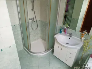 Prodej rodinného domu, Ždírec nad Doubravou, Ve Vilkách, 341 m2