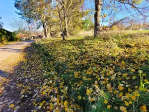 Prodej pozemku pro bydlení, Okrouhlo, 900 m2
