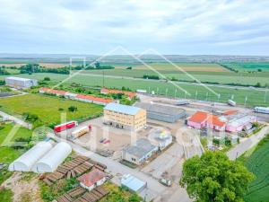 Pronájem skladu, Podivín, 1600 m2