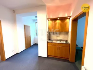 Pronájem kanceláře, Ostrava, Vrázova, 100 m2