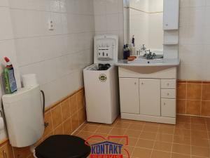 Pronájem bytu 3+1, Včelná, Husova, 112 m2