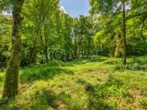 Prodej pozemku pro bydlení, Hrubá Skála, 5519 m2