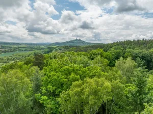 Prodej pozemku pro bydlení, Hrubá Skála, 5519 m2