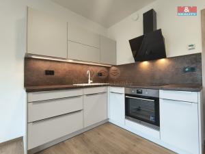 Pronájem bytu 1+kk, Slaný, Lázeňská, 35 m2