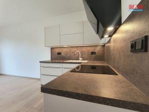 Pronájem bytu 1+kk, Slaný, Lázeňská, 35 m2