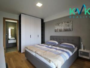 Pronájem bytu 4+kk, Karlovy Vary, Mattoniho nábřeží, 105 m2