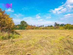 Prodej komerčního pozemku, Třinec - Konská, 7738 m2