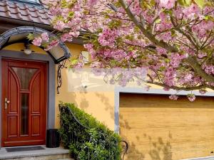 Prodej rodinného domu, Mladá Boleslav - Čejetice, Nová, 302 m2