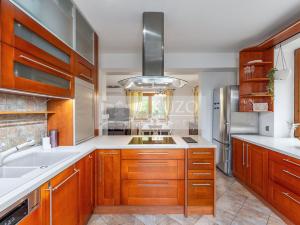 Prodej rodinného domu, Mladá Boleslav - Čejetice, Nová, 302 m2