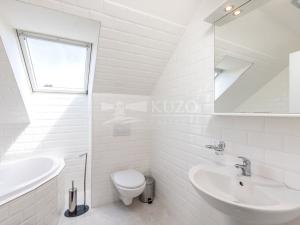 Prodej rodinného domu, Mladá Boleslav - Čejetice, Nová, 302 m2