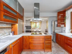 Prodej rodinného domu, Mladá Boleslav - Čejetice, Nová, 302 m2