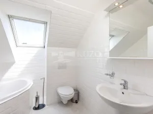 Prodej rodinného domu, Mladá Boleslav - Čejetice, Nová, 302 m2