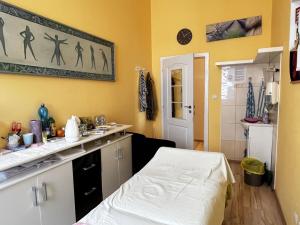 Pronájem ordinace, Praha - Staré Město, Národní, 13 m2