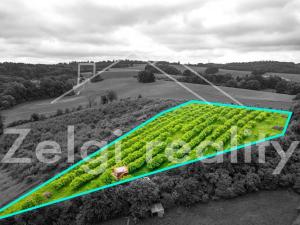 Prodej sadu/vinice, Polom, 9760 m2