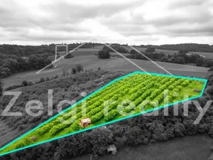 Prodej sadu/vinice, Polom, 9760 m2