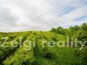 Prodej sadu/vinice, Polom, 9760 m2