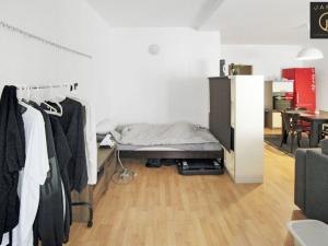 Pronájem bytu 2+1, Slaný, Štechova, 61 m2