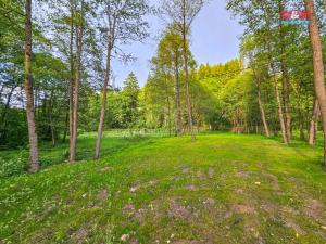 Prodej pozemku pro bydlení, Nový Hrádek - Rzy, 1925 m2