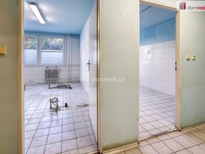 Pronájem obchodního prostoru, Neratovice, Kojetická, 39 m2