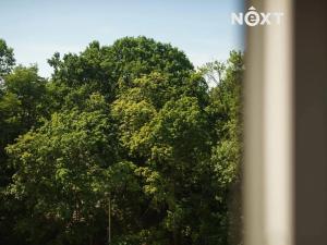 Pronájem bytu 1+1, Česká Lípa, Roháče z Dubé, 40 m2