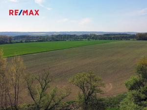 Prodej zemědělské usedlosti, Počedělice, 2500 m2