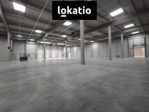 Pronájem skladu, Kozomín, 1155 m2