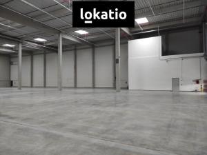 Pronájem skladu, Kozomín, 1155 m2