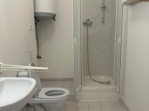 Pronájem bytu 3+1, Hradec Králové, Zemědělská, 90 m2