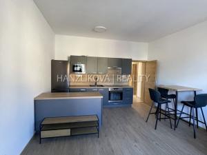 Pronájem bytu 2+kk, České Budějovice, 56 m2