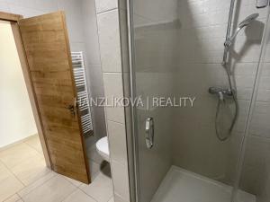 Pronájem bytu 2+kk, České Budějovice, 56 m2