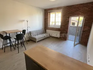 Pronájem bytu 2+kk, České Budějovice, 56 m2