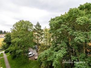 Pronájem bytu 2+1, Praha - Břevnov, Nad alejí, 50 m2