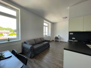 Prodej bytu 1+kk, Náchod, Na Letné, 47 m2