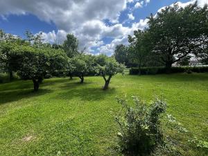 Prodej zahrady, Horní Cerekev, 403 m2
