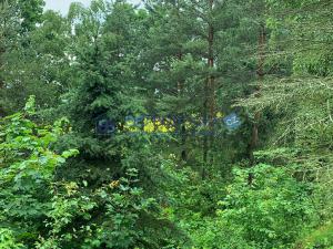 Prodej chaty, Ptice, 65 m2