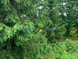 Prodej chaty, Ptice, 65 m2