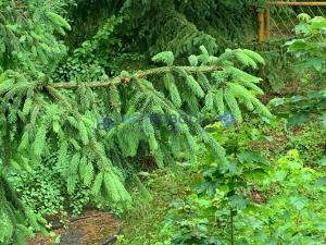 Prodej chaty, Ptice, 65 m2