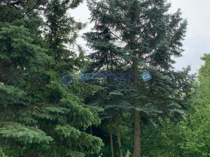 Prodej chaty, Ptice, 65 m2