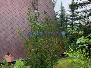 Prodej chaty, Ptice, 65 m2