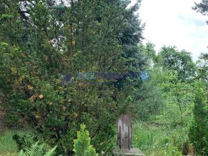 Prodej chaty, Ptice, 65 m2