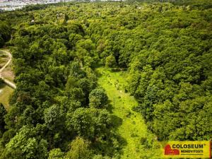Prodej zahrady, Brno - Lesná, 2613 m2