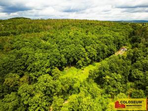 Prodej zahrady, Brno - Lesná, 2613 m2
