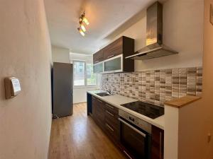 Pronájem bytu 1+1, Cheb, Písečná, 40 m2